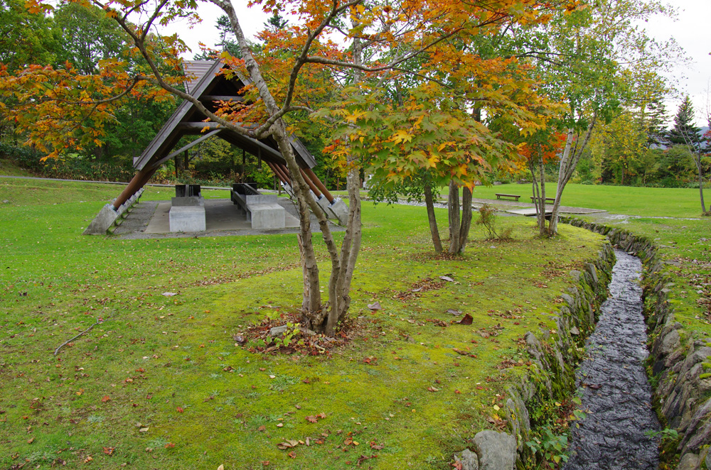 ハイキングコース