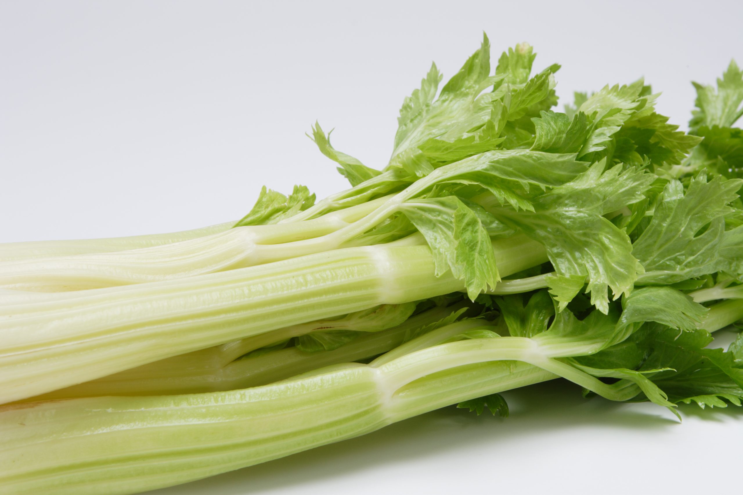 自律神経を整える野菜のセロリ