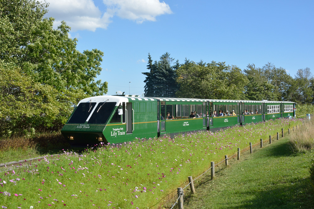 百合が原公園のリリートレイン