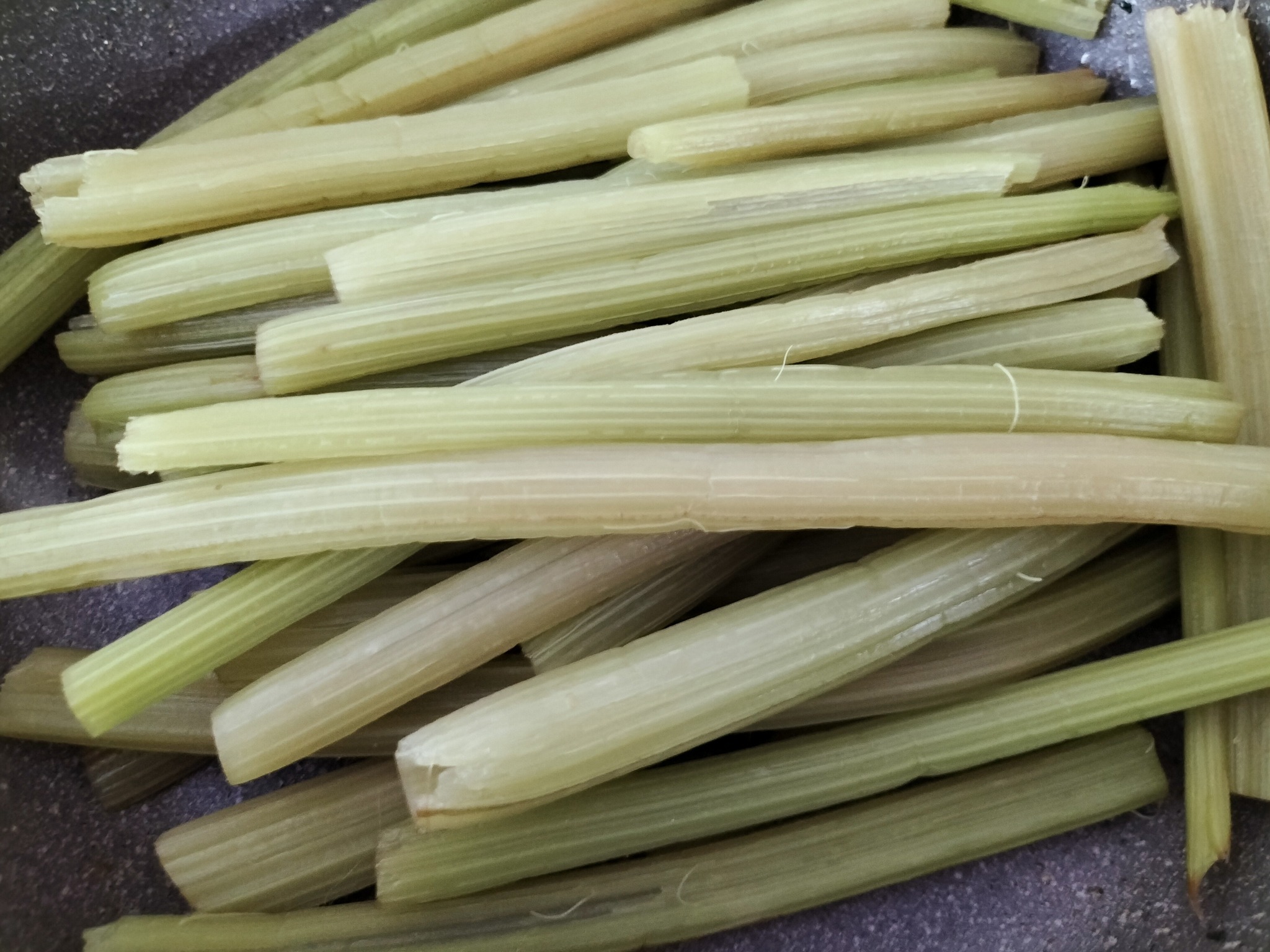 下処理したフキ 