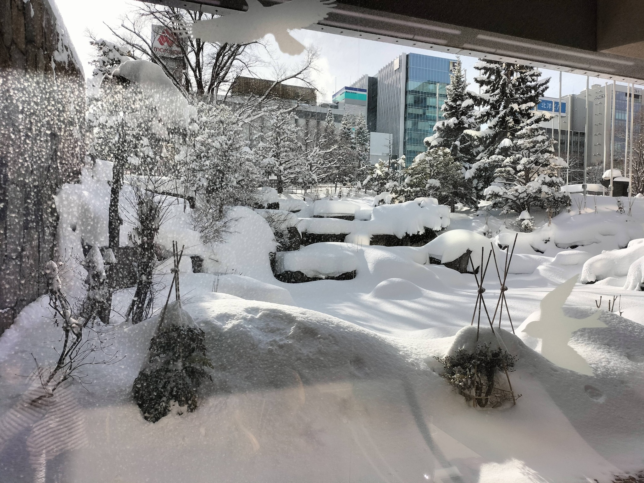 札幌市役所本庁舎食堂の窓際の席