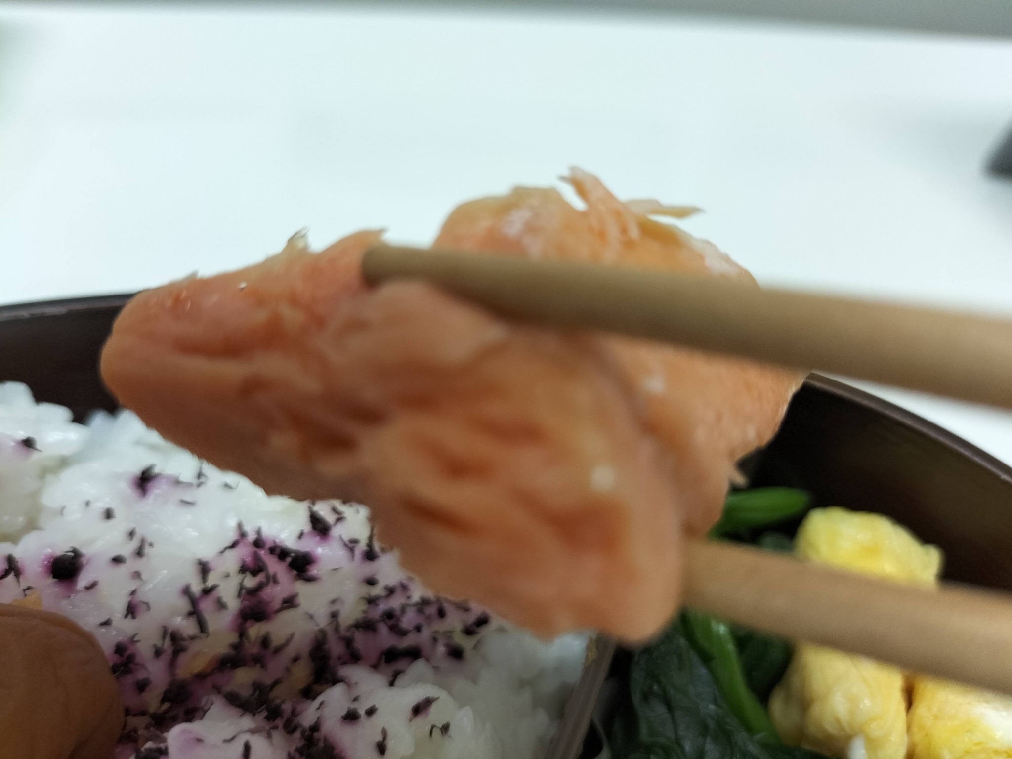 今日のお弁当のおかずの鮭