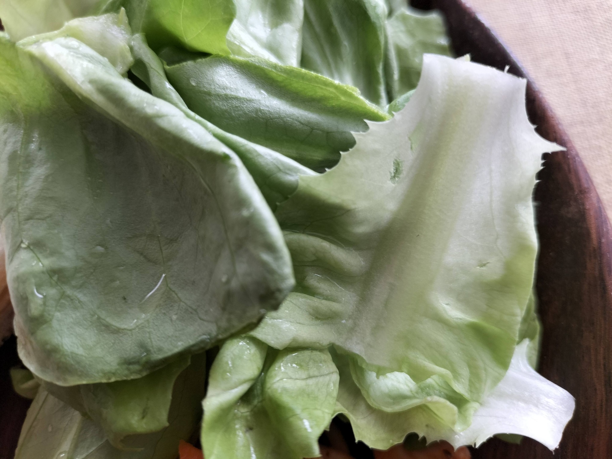 サラダ菜のサラダ