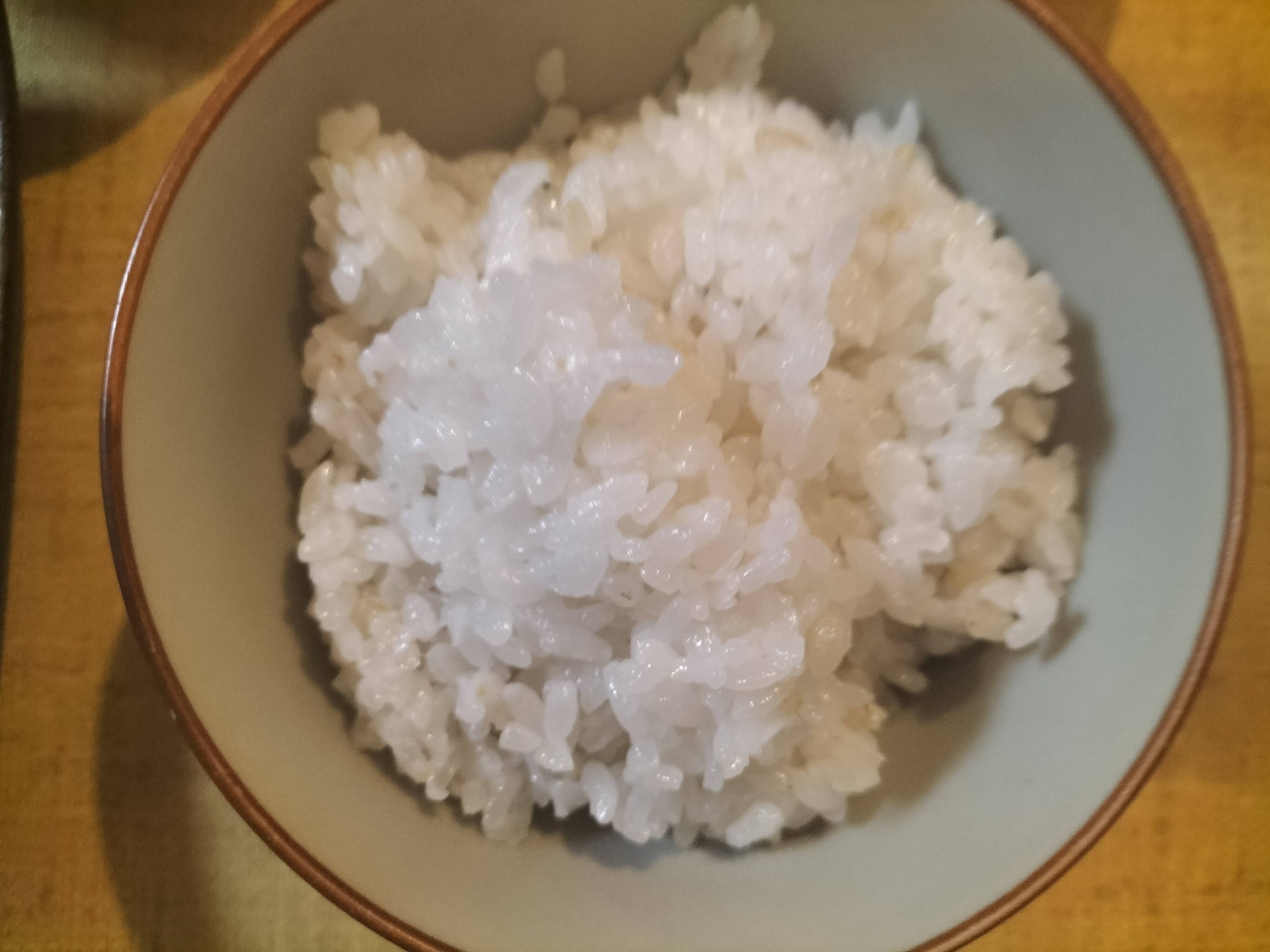 焼き魚献立：夕食の白ごはん