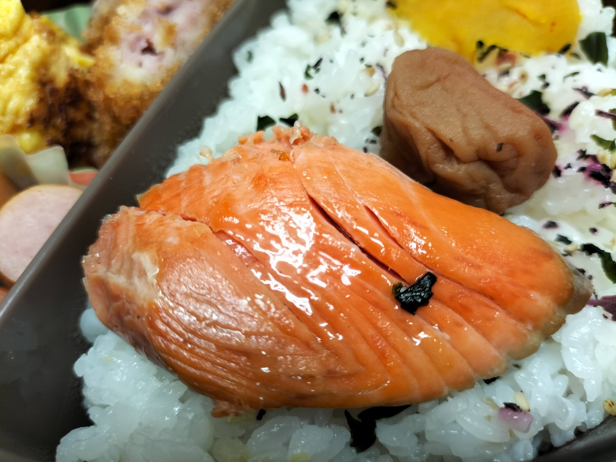 今日のお弁当のおかず：鮭