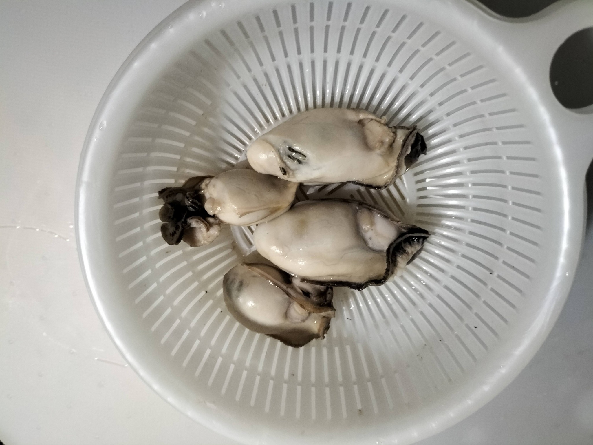 軽く水で洗った牡蠣