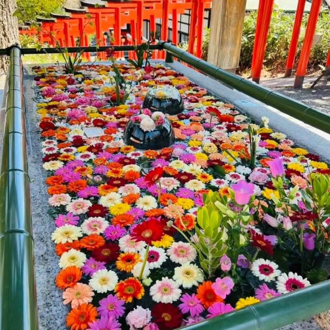 小樽市住吉神社の花手水