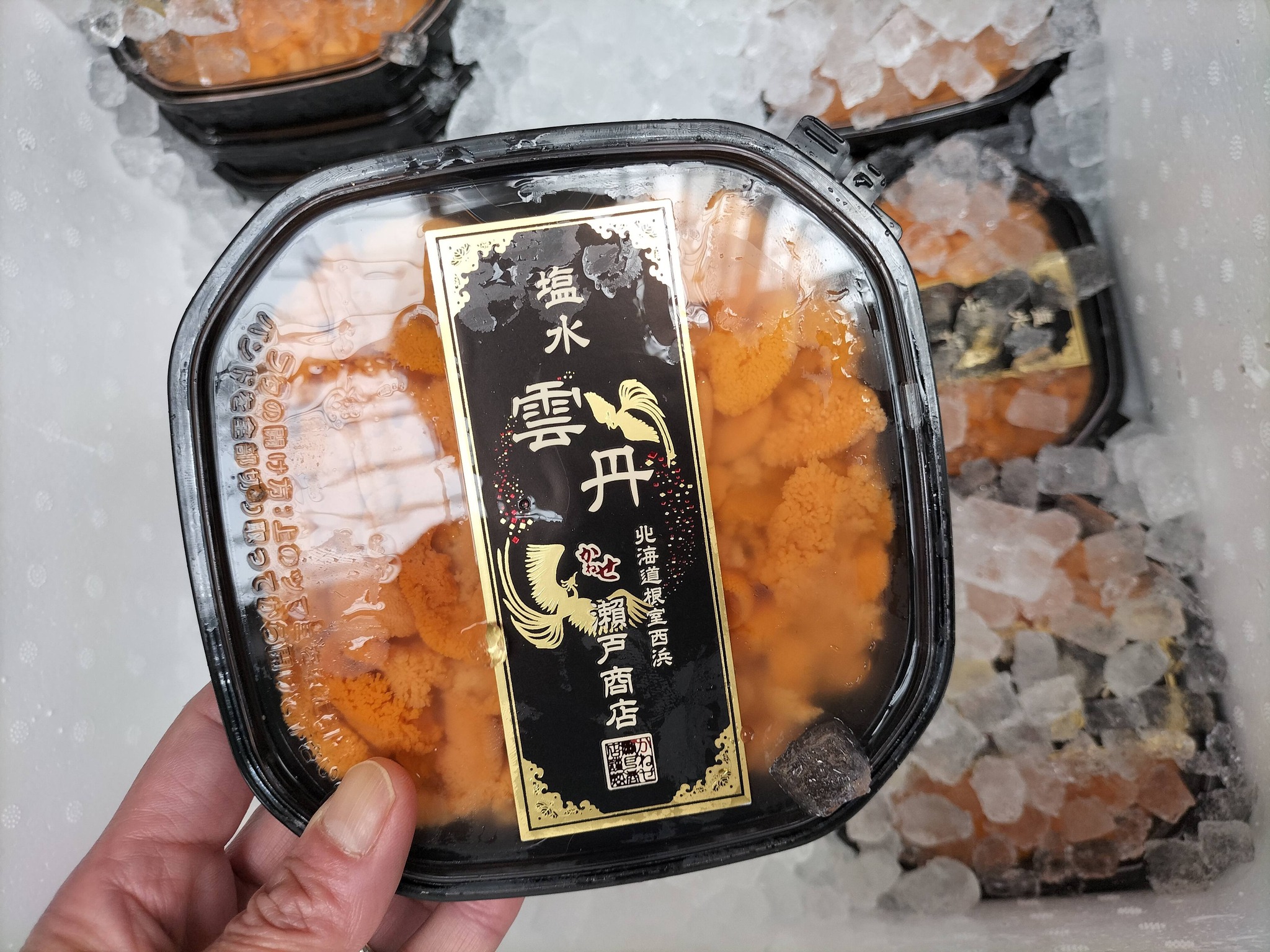 激安特売のウニ2