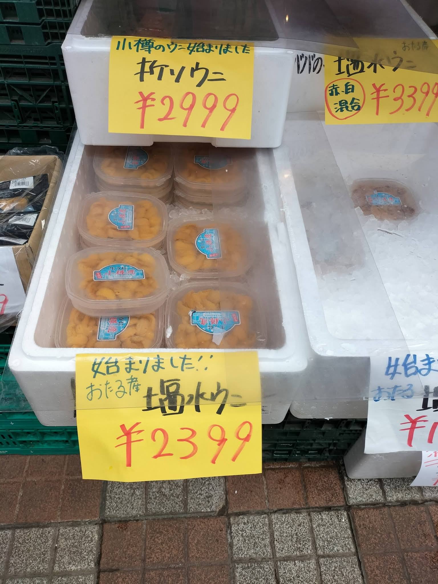 小樽産のウニ